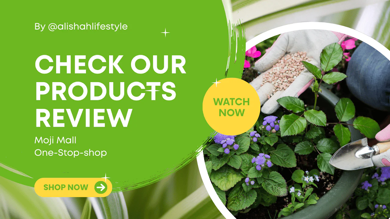 Master Your Space at Moji